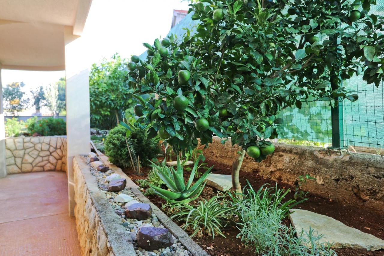 Apartman Dani Zadar Extérieur photo